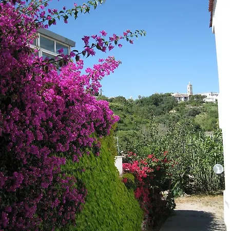 Di Meglio Barano dʼIschia